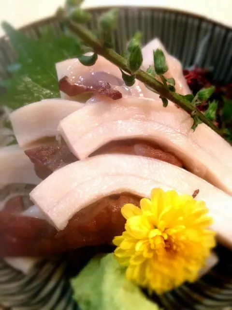 寿司魚料理 春駒のお料理
