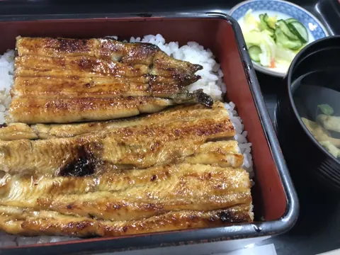 季節料理すし処 ひら河のお料理