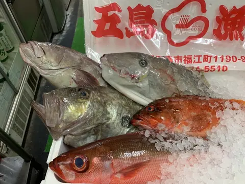 旬菜旬魚介 魚藩のお料理