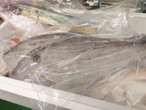 御食事処 きかくのお料理