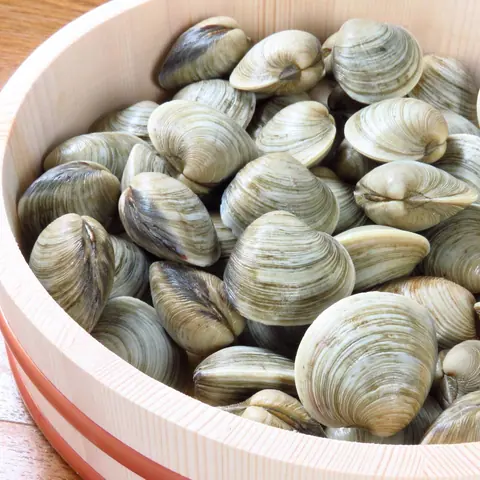 海鮮大衆酒場 ちょうちんのお料理